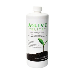 Alive Elite Bacteria 1 qt.