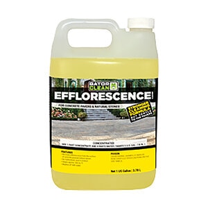 Alliance Polybind Effloresce Cleaner 1 gal.