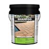 Alliance Gator Clean Shampoo Cleaner 5 gal.