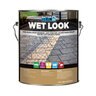 Alliance Gator Seal Wet Look Sealer 1 gal. (4 pc./box)