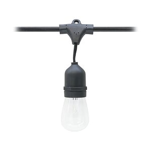 American Lighting Suspended Socket Light String E26 Base 2 ft. Socket Spacing 14AWG Black 100 ft.