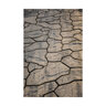 Barkman Mesa Flagstone Paver Sierra Grey (48 pc./pallet)
