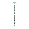 Spiral Nail/Spike 10 in.