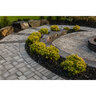 Barkman Mesa Flagstone Paver Sierra Grey (48 pc./pallet)