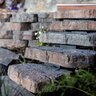 Barkman Rosetta Irregular Step Northern Charcoal (6 pc./pallet)