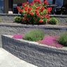 Basalite Garden Stack Standard Unit Ebony 5-4/5 in. - 7-4/5 in. x 4 in. x 6-6/7 in. (180 pc./pallet)