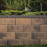 Belgard Allan Block Cap Pro Cap Max Rocky Mountain 18 in. x 12 in. x 3-3/4 in. (56 pc./pallet)
