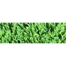 Bella Coastal Pro Synthetic Turf 87 oz. Face Weight (114 oz. Total) 2 in. Olive Green/Forest Green Blades Dry Yellow/Fern Green Thatching