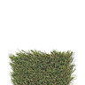 Bella Natures Best Synthetic Turf 70 oz. Face Weight (98 oz. Total) 1-3/4 in. Olive Green/Forest Green/Tan Blades Dry Yellow/Fern Green Thatching
