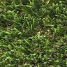Bella Classic Synthetic Turf 52 oz. Face Weight (80 oz. Total) 1-5/8 in. Emerald Green/Forest Green Blades Dry Yellow/Forest Green Thatching