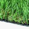 Bella Classic Synthetic Turf 52 oz. Face Weight (80 oz. Total) 1-5/8 in. Emerald Green/Forest Green Blades Dry Yellow/Forest Green Thatching