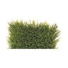 Bella Cascade Elite Synthetic Turf 76 oz. Face Weight (104 oz. Total) 1-7/8 in. Emerald Green/Forest Green Blades Dry Yellow/Fern Green Thatching
