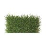 Bella Park Royal Synthetic Turf 71 oz. Face Weight (99 oz. Total) 1-3/4 in. Emerald Green/Field Green Blades Dry Yellow/Forest Green Thatching