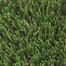 Bella Sierra Pacific Synthetic Turf 71 oz. Face Weight (99 oz. Total) 1-3/4 in. Olive Green/Field Green Blades Dry Yellow/Forest Green Thatching