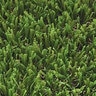 Bella Paw Pro Synthetic Turf 58 oz. Face Weight (86 oz. Total) 1-1/2 in. 13 ft. Wide Emerald Green/Olive Green Blades Dry Yellow/Field Green Thatching