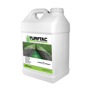 Bella ACC Turf Tac Seam Adhesive 1 gal.
