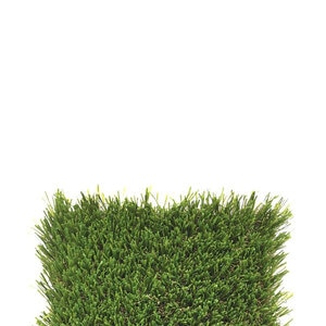 Bella Paw Pro SF (86 oz. 6.5 ft. X 50 ft.)
