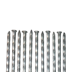 Bella Spiral Turf Nail Spike 6 in. 50 lb. Box