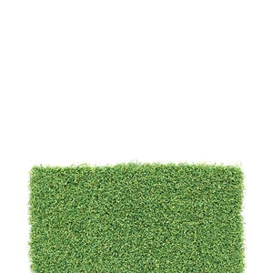 Bella Country Club Synthetic Turf 58 oz. Face Weight (84 oz. Total) 11/16 in. Olive Green/Field Green Blades No Thatching
