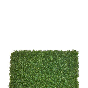 Bella Elite Play Synthetic Turf 76 Face Weight (107.5 oz. Total) 1-3/8 in. Field Green/Olive Green Blades Dry Yellow/Forest Green Thatching