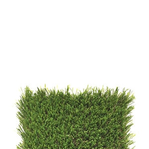 Bella Paw Pro Synthetic Turf 58 oz. Face Weight (86 oz. Total) 1-1/2 in. 6.5 ft. Wide Emerald Green/Olive Green Blades Dry Yellow/Field Green Thatching