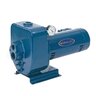 Berkeley HMSE 1 HP MS Pump