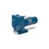 Berkeley HMSE 1 HP MS Pump