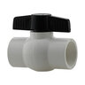 1-1/4 in. BII PVC Slip Ball Valve (S x S)
