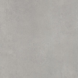 Enmon Tile Porcelain Arkety Step 12 in. X 24 in. Silver 2 cm (144 pc./pallet)