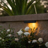 FX Luminaire Ledge Light CL31, LED 2VA, 3000K, BLK