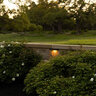 FX Luminaire Ledge Light CL31, LED 2VA, 3000K, BLK