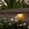 FX Luminaire Ledge Light CL31, LED 2VA, 2700K, BLK
