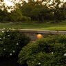 FX Luminaire Ledge Light CL31, LED 2VA, 2700K, BLK