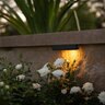 FX Luminaire Ledge Light CL31, NO LAMP, XL, BLK