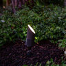 FX XA ZDC Accent Light Bronze Finish 21W RGBW 60 Deg LED
