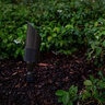 FX XA ZDC Accent Light Bronze Finish 21W RGBW 60 Deg LED