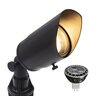 Striker Black Brass Landscape Lighting Demo Tote