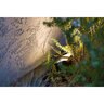 FX CWW Brass Wall Wash AB Finish 1.6W 2700K G4 LED FX
