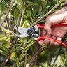 Felco One-Handed Pruning Shear High Performance Classic Model