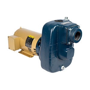 Franklin Turf Boss Pump Self-Priming 230V 3 HP