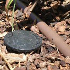 Hunter Pro-Spray Shut-Off Cap Hunt