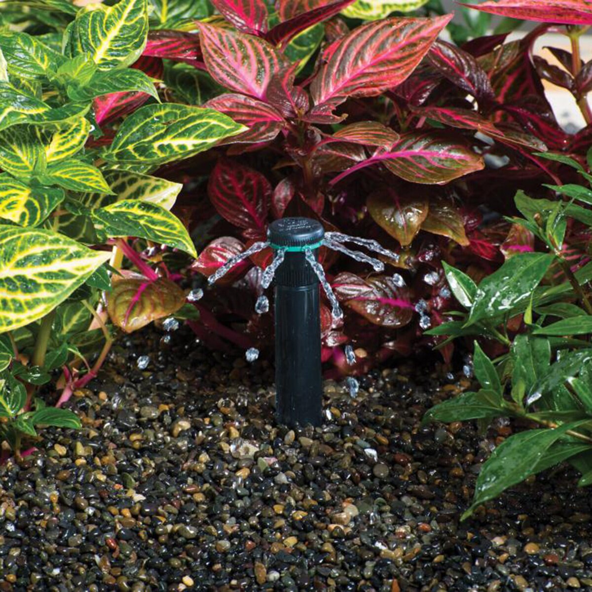 Hunter Multi-Stream Bubbler Nozzle, pressure-compensating, 0.50 GPM, 50 ...