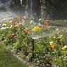 Hunter 12 in. Pop-Up Spray w/Check Valve