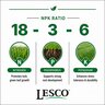 LESCO Green Flo 18-3-6 50% CRN 2.5 gal. (Canada)