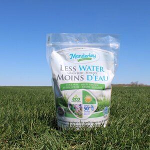 Less Water Full Sun/High Traffic Seed Mixture 1 kg (2 lb.)