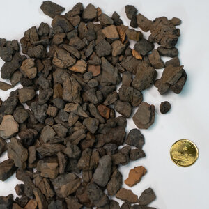 Bulk Beechwood Lava Rock
