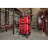 Milwaukee Packout 2-Drawer Tool Box 