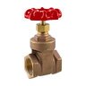 New-Line Gate Valve Brass 2 in. FPT 200 PSI w/ Wheel Handle