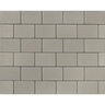 Newstone Urban Paver Natural 6 in. X 12 in. 60mm (108 sq.ft./ pallet)