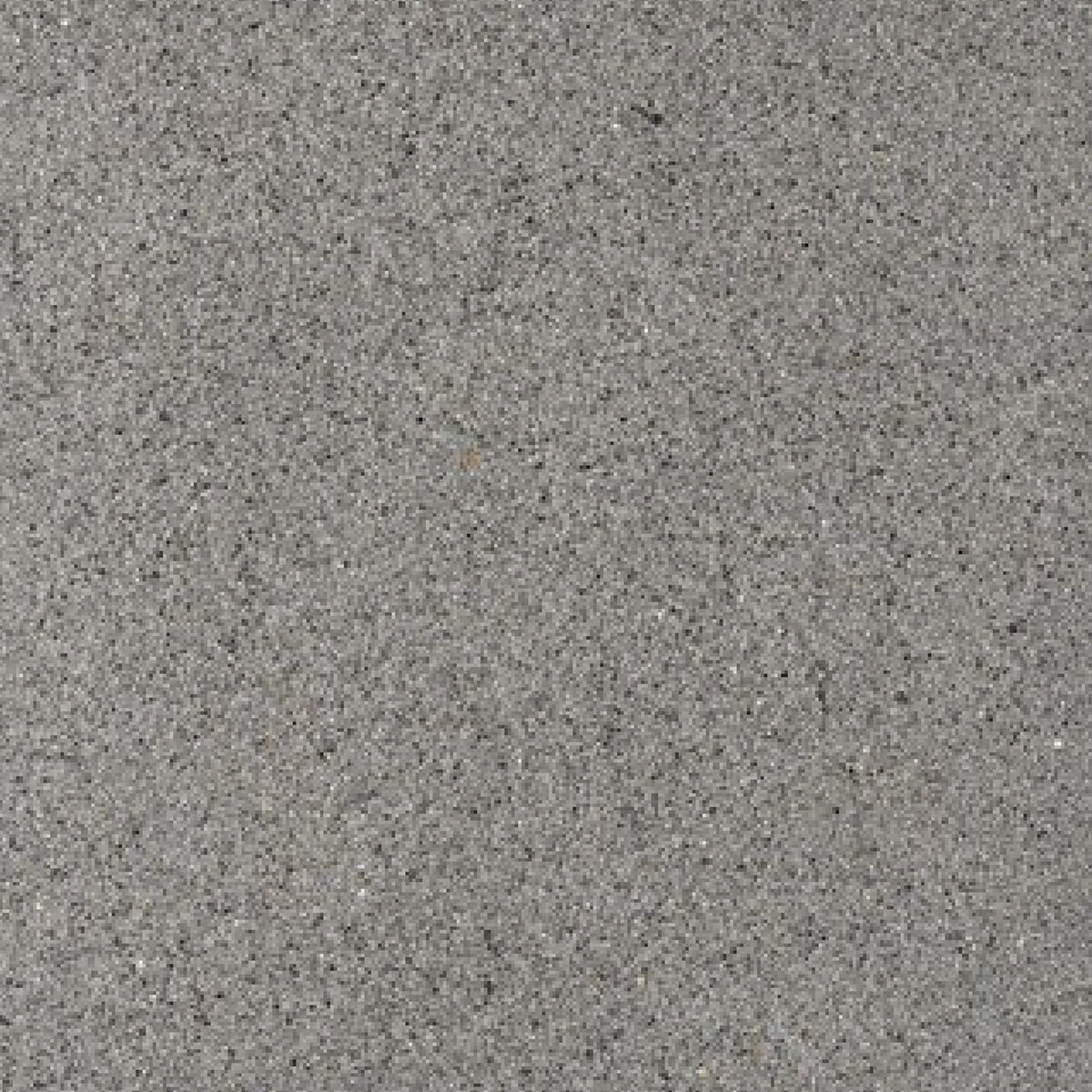 Newstone Premium Series Paver Cosmic 12 in. X 12 in. 60 mm (108 sq.ft ...